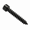 ������� Dl Audio Gryphon Lite Screw 6��  (����� 35��)