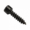 ������� Dl Audio Gryphon Lite Screw 5�� (����� 20��)